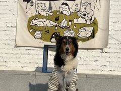 -小意思咖啡店(草桥店)