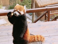 -乐和乐都主题乐园