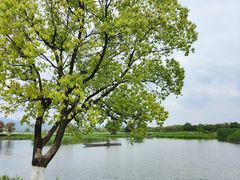 -良渚古城遗址公园