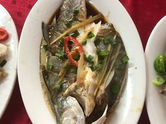 -蛇口康乐快餐鱼仔档(翠苑小区店)