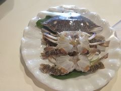 -上海南汇嘴大堤酒店