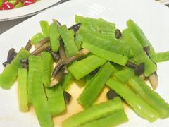 鸡枞菌炒莴苣-郑庄脂渣海鲜楼(九水路店)