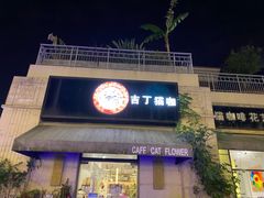 门面-吉丁鸟咖·异宠·寄养