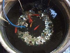 -到家尝北京菜(西坝河店)