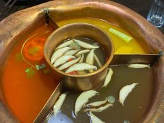 菌王奇香锅-老诚一锅羊蝎子(黄寺大街店)