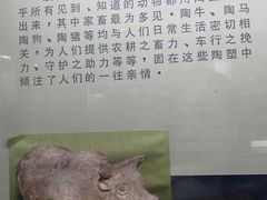 -古陶文明博物馆