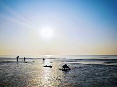 -日照海滨国家森林公园
