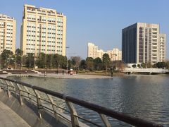 -南翔镇银翔湖公园