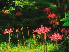 -共青国家森林公园-售票处