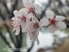 -大宁公园