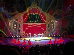 -珠海横琴长隆《卡卡虎奇遇记》