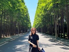 -日照海滨国家森林公园