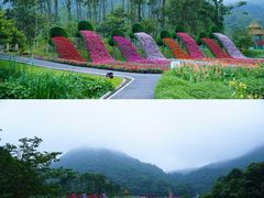 -广州市石门国家森林公园
