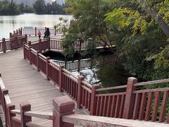 -五缘湾湿地公园