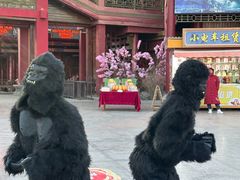 -嘉峪关方特欢乐世界