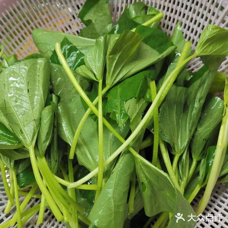 上汤红薯叶