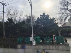 -玲珑塔公园