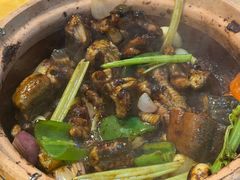 啫啫黄鳝-天宝食坊·啫啫煲大排档(西华路店)