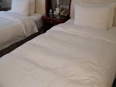 -上海圣淘沙万怡酒店