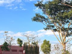 -白石龙音乐公园