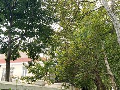 -八大关景区