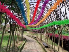 -武汉紫薇都市田园