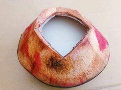 -仙本那渔人码头餐厅