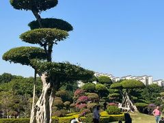 -南宁南湖公园
