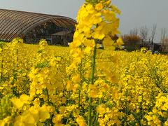 -中国天府农业博览园