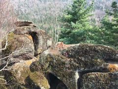 景点-汤旺河林海奇石景区