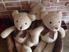 -济州岛泰迪熊博物馆