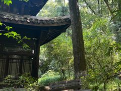 -乾园.魏庐湖景餐厅(花港店)