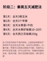-Fundi张玉珊修身堂·indiba·BTL科技瘦身