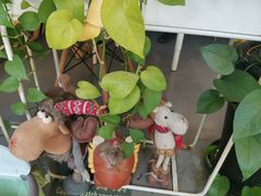 -威克特披萨汉堡