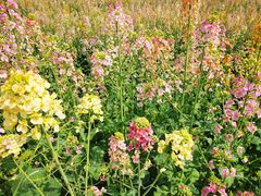 -中国天府农业博览园