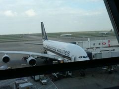 -新加坡航空公司(ION)