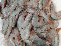 -大连熟食品交易中心