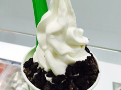 -Salud撒露欧洲冻酸奶(北苑上品店)