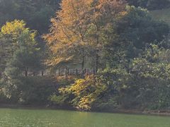 -桃花岭景区