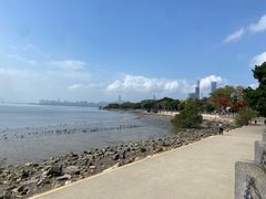 -深圳湾公园(南山区)
