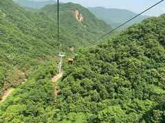 -栾川竹海野生动物园