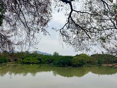 -江心屿景区