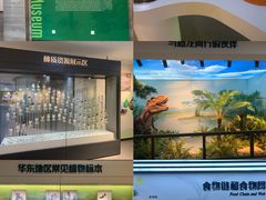 -杭州植物园