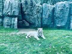 -北京野生动物园