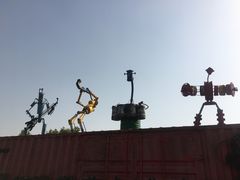 -上海长兴岛郊野公园