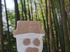 -蜀南竹海景区