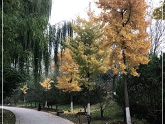 -河北省园博园