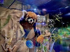 -海合安武汉极地海洋公园