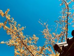 -藏龙百瀑风景区