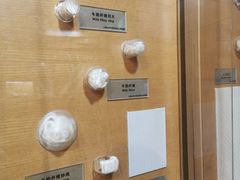 -上海纺织博物馆